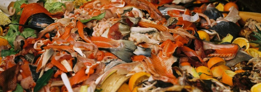 Desperdicio alimentario