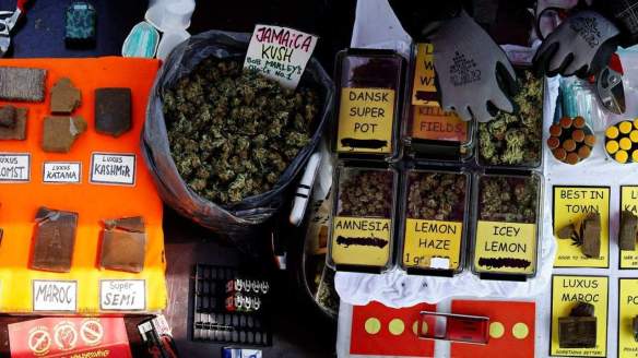 Marihuana y marketing de calidad.