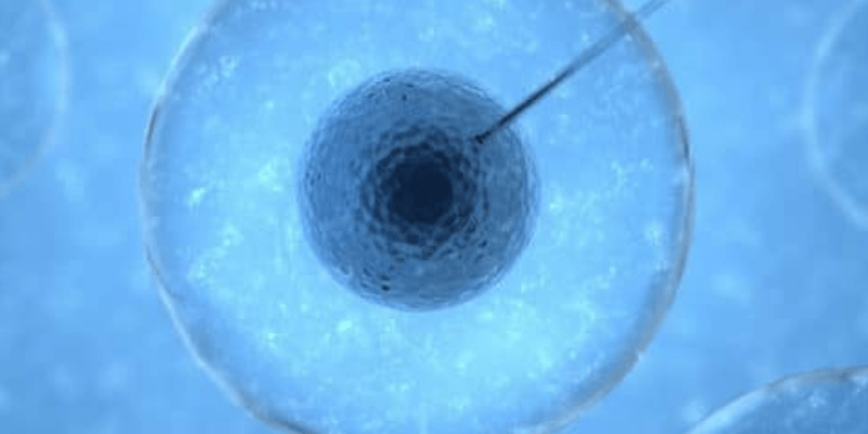 Vitrificación - Imagen cortesía de Interfiv.com